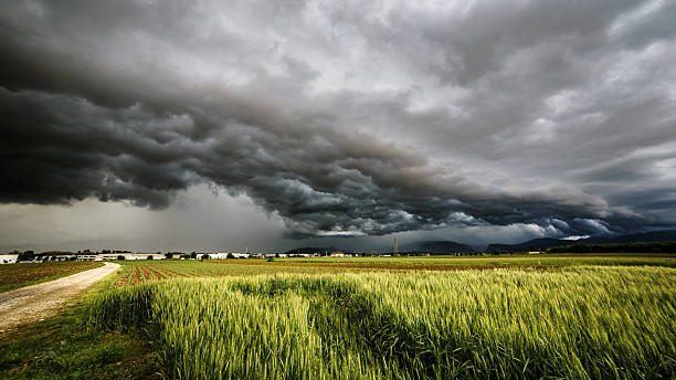 A dark stormy sky over a green field.